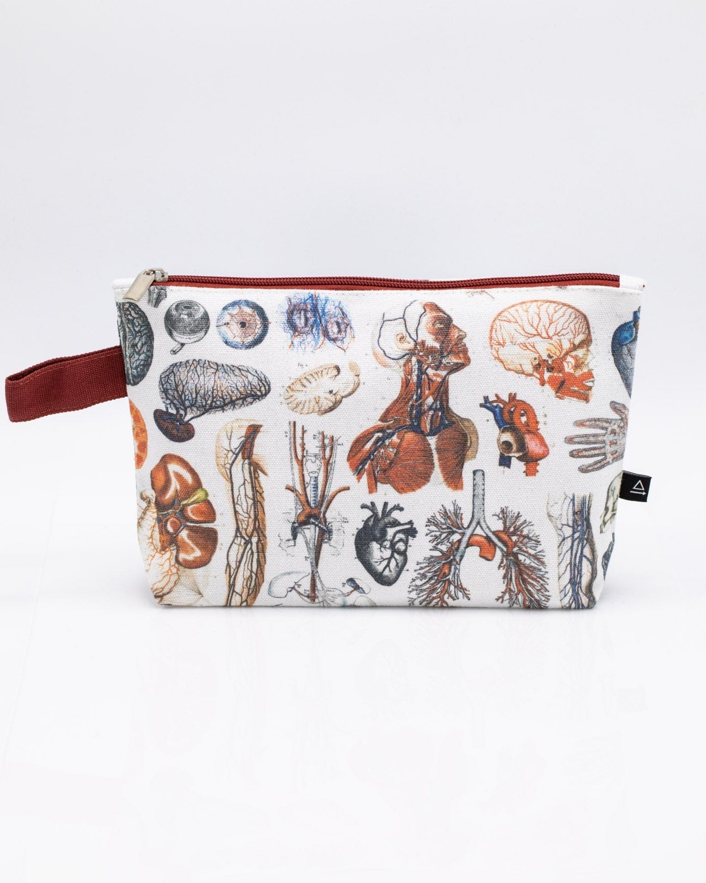 Anatomy Pencil Bag Cognitive Surplus