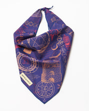 Alchemy Eco Pet Bandana