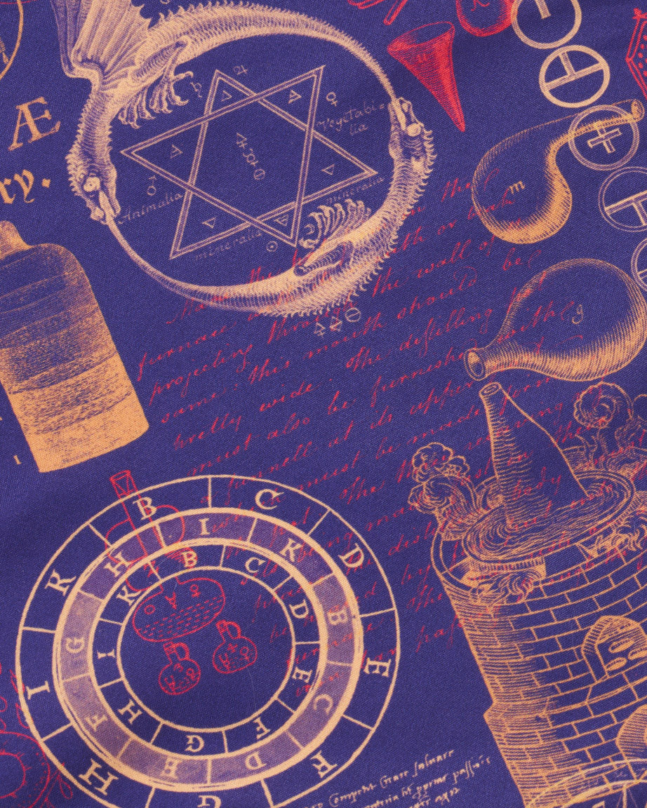 Alchemy Eco Pet Bandana