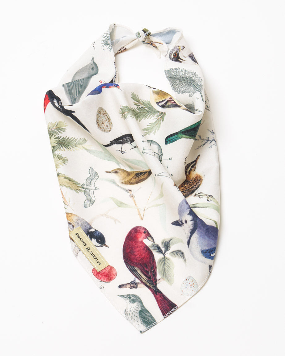 Birds Eco Pet Bandana