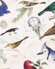 Birds Eco Pet Bandana