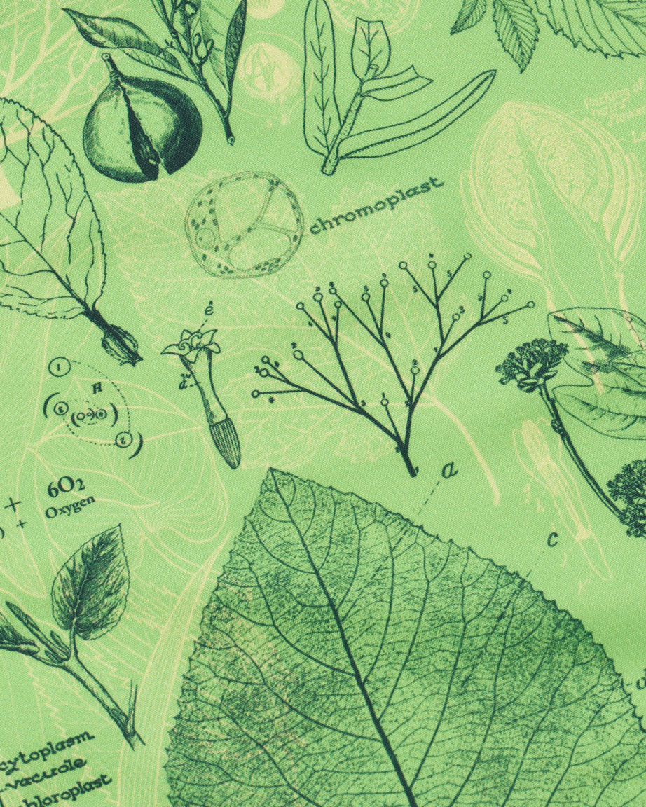 Botany Eco Pet Bandana