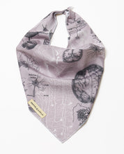 Brain Eco Pet Bandana