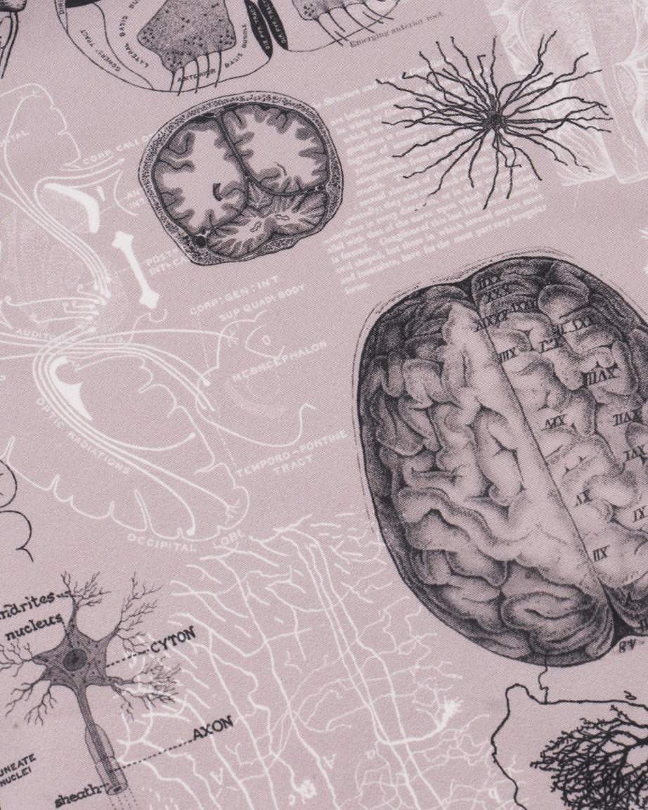 Brain Eco Pet Bandana