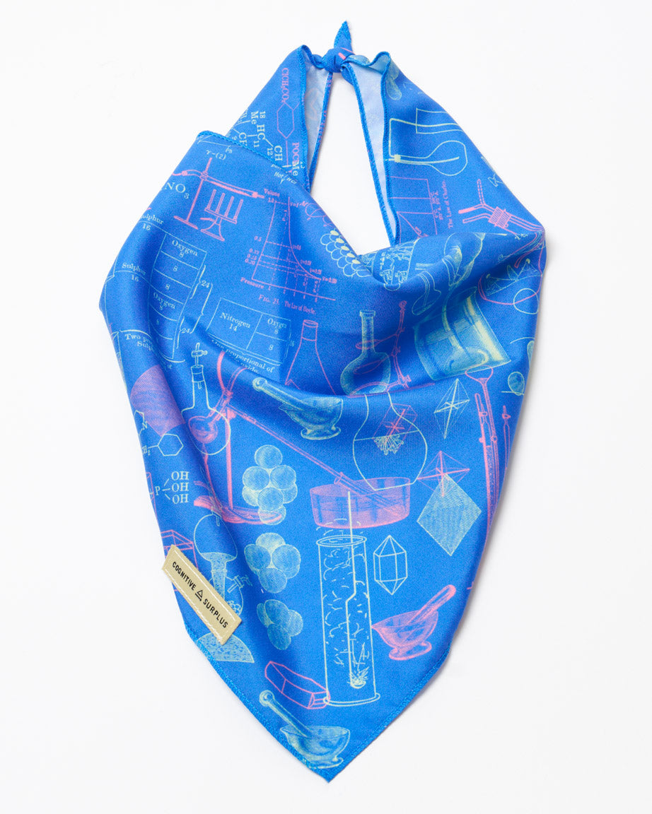 Chemistry Eco Pet Bandana