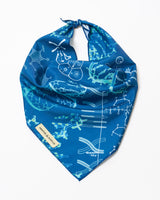 Genetics & DNA Eco Pet Bandana