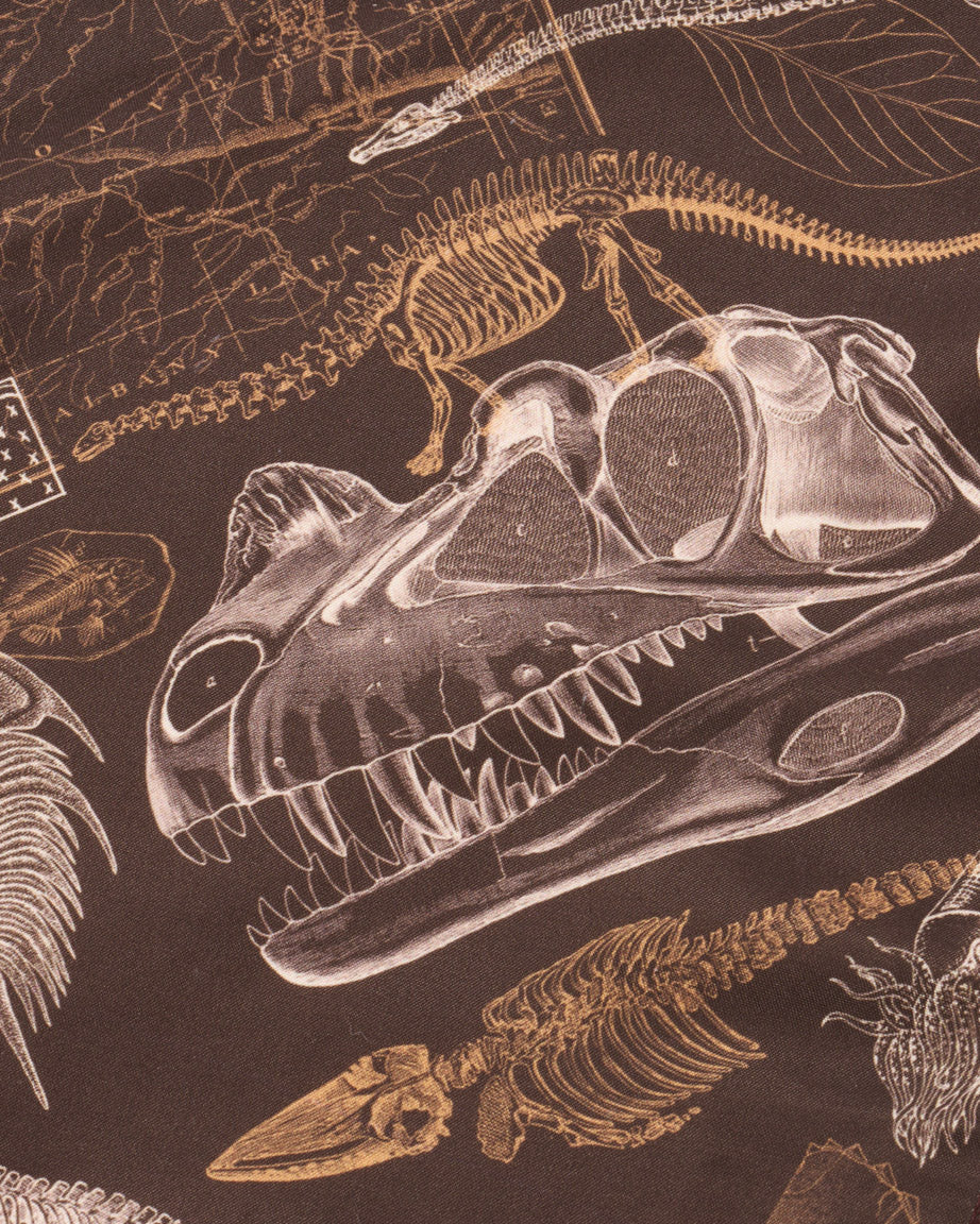 Dinosaurs Eco Pet Bandana