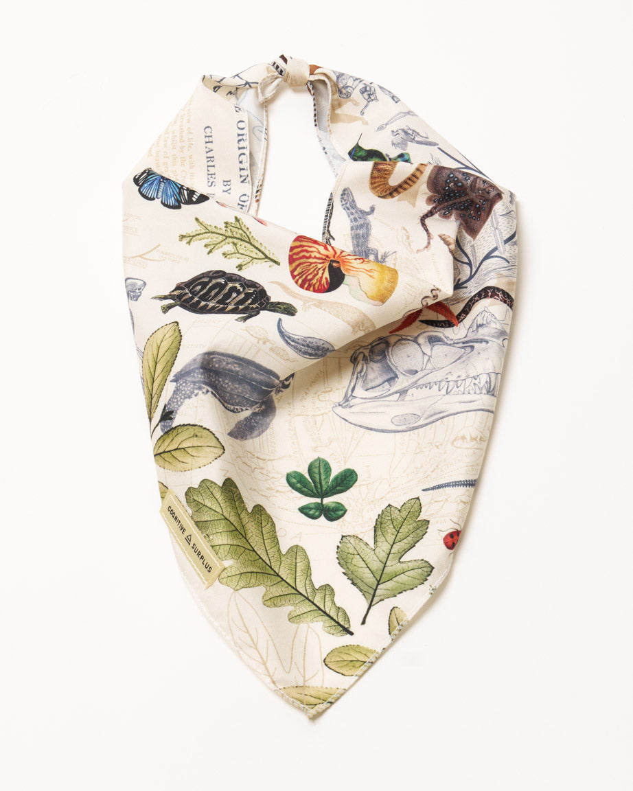 Evolution Eco Pet Bandana