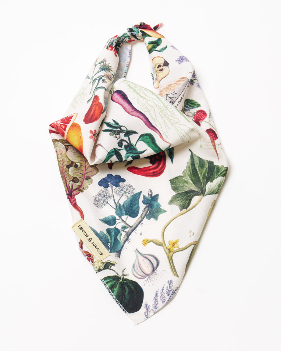 Farmer's Market Eco Pet Bandana