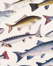 Freshwater Fish Eco Pet Bandana