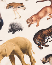 Grassland Zoology Eco Pet Bandana