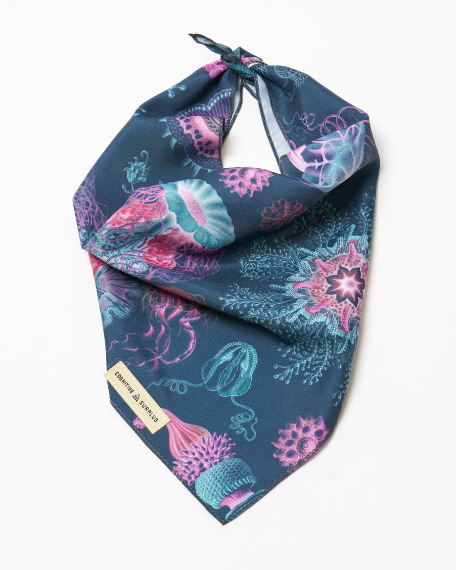 Haeckel Jellyfish Eco Pet Bandana