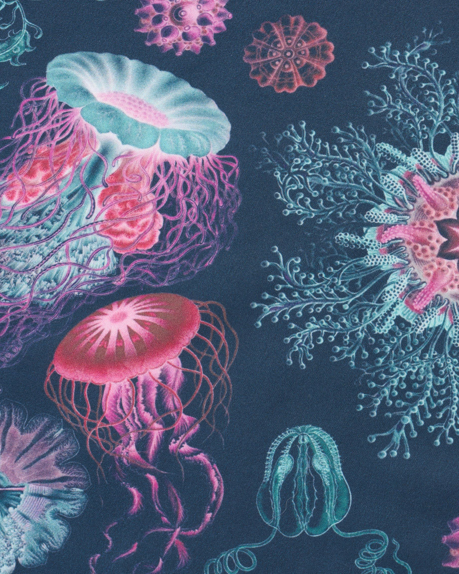 Haeckel Jellyfish Eco Pet Bandana