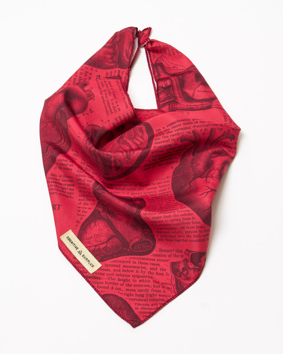 Anatomical Heart Eco Pet Bandana
