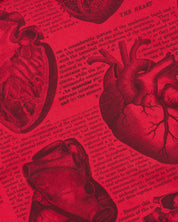 Anatomical Heart Eco Pet Bandana