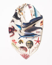 Marine Zoology Eco Pet Bandana