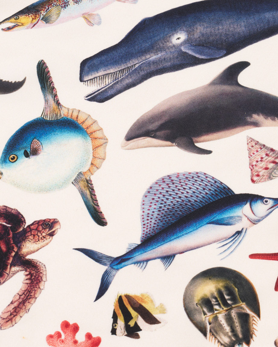 Marine Zoology Eco Pet Bandana