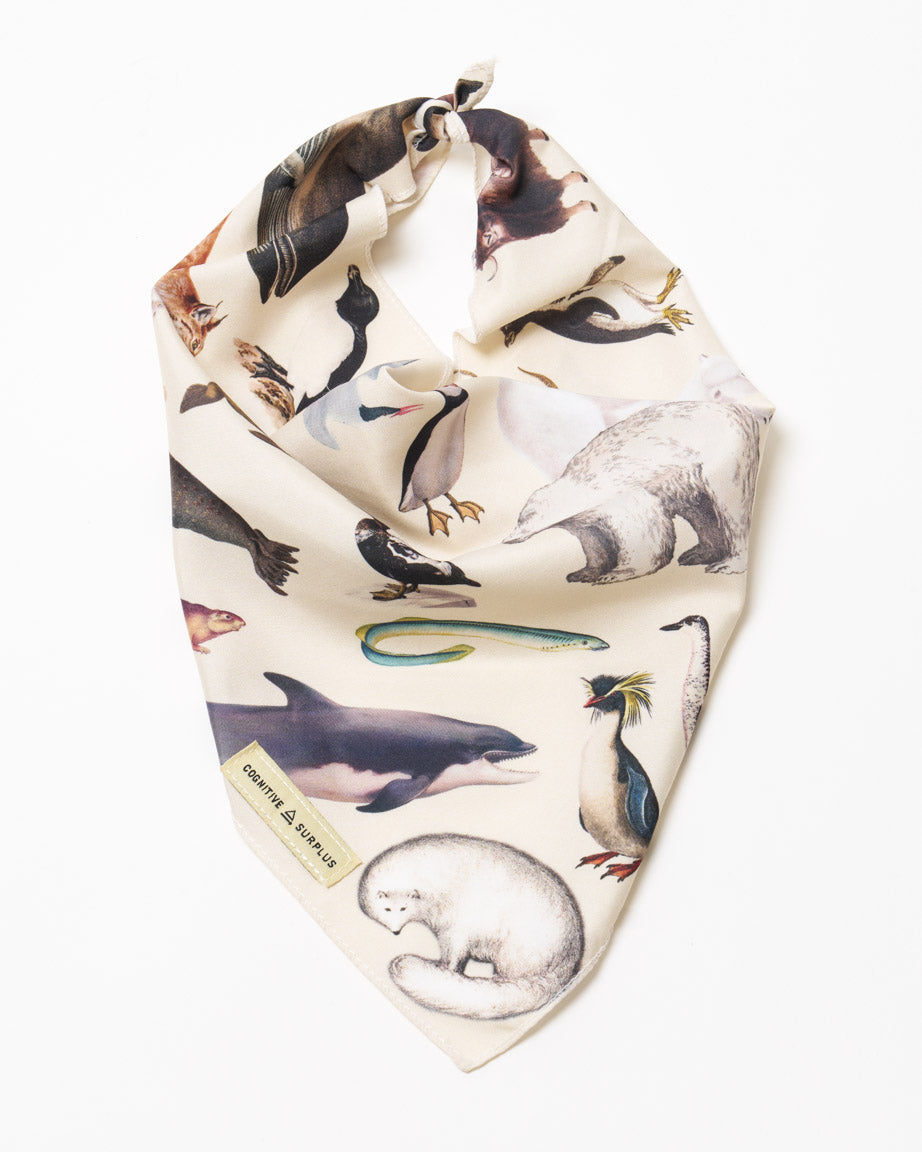 Polar Zoology Eco Pet Bandana