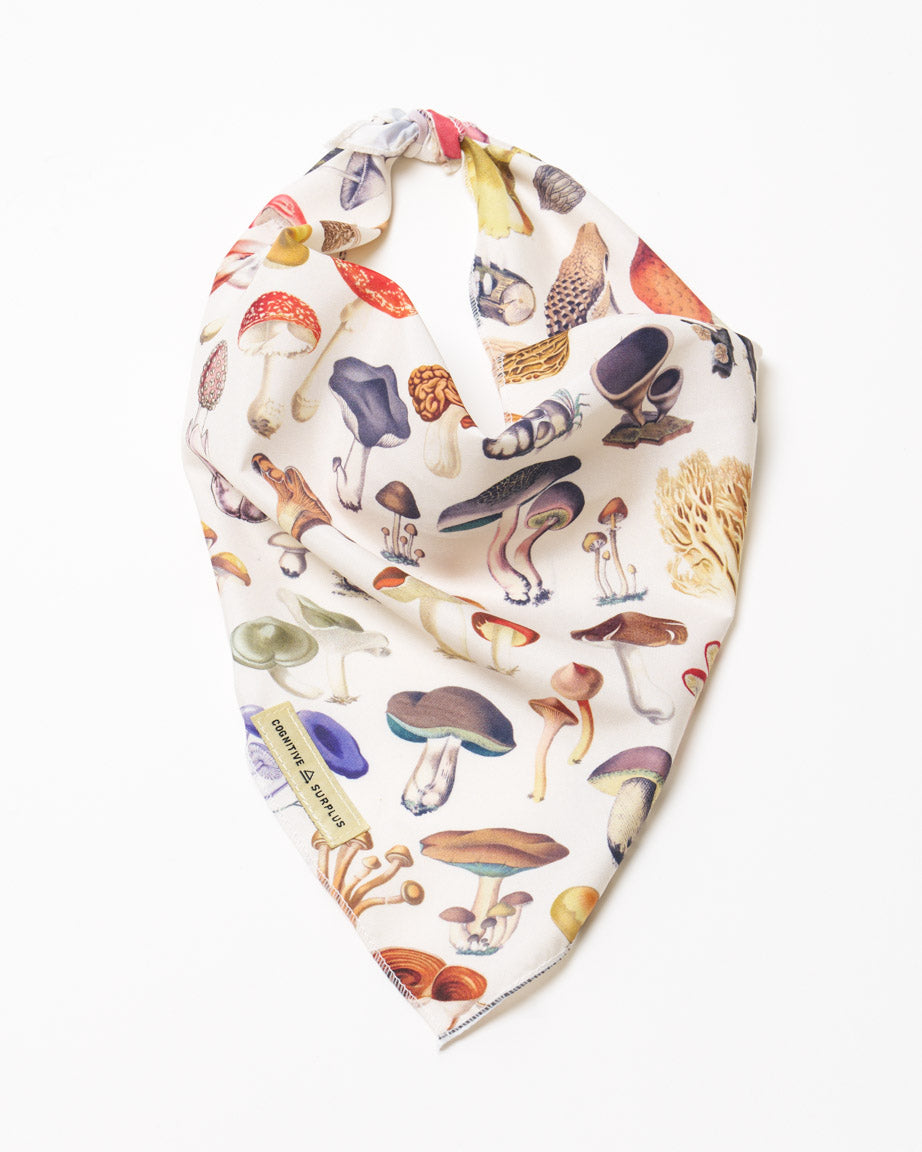 Mushrooms Eco Pet Bandana