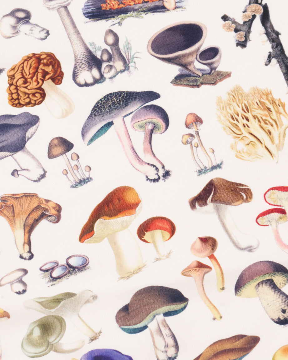 Mushrooms Eco Pet Bandana