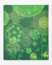 Cell Biology Lab Notebook Cognitive Surplus