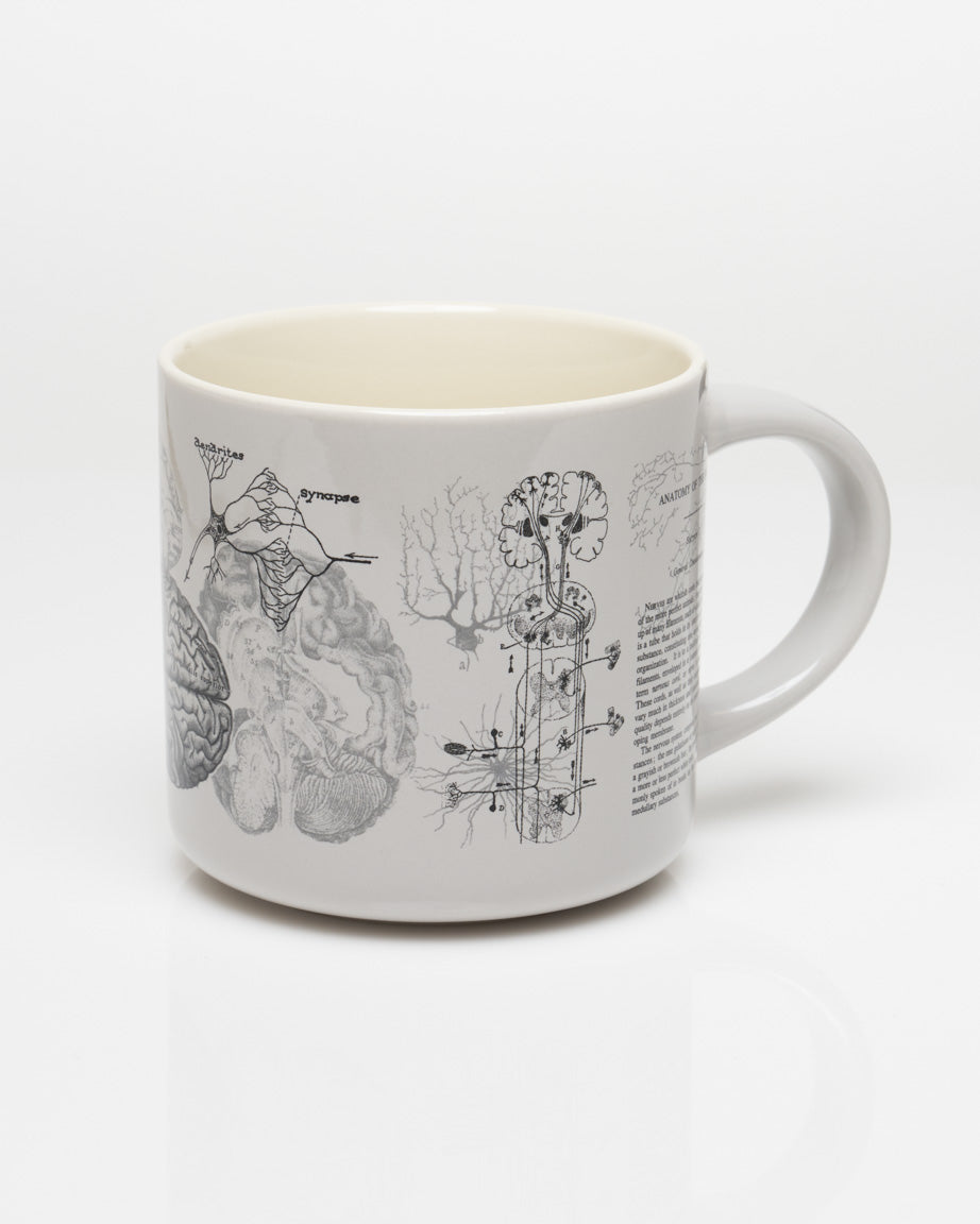 Brain Anatomy Mug - Medical Mug | Cognitive Surplus