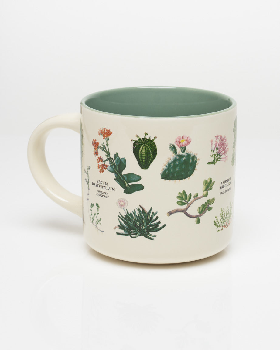 Succulents 15 oz Ceramic Mug