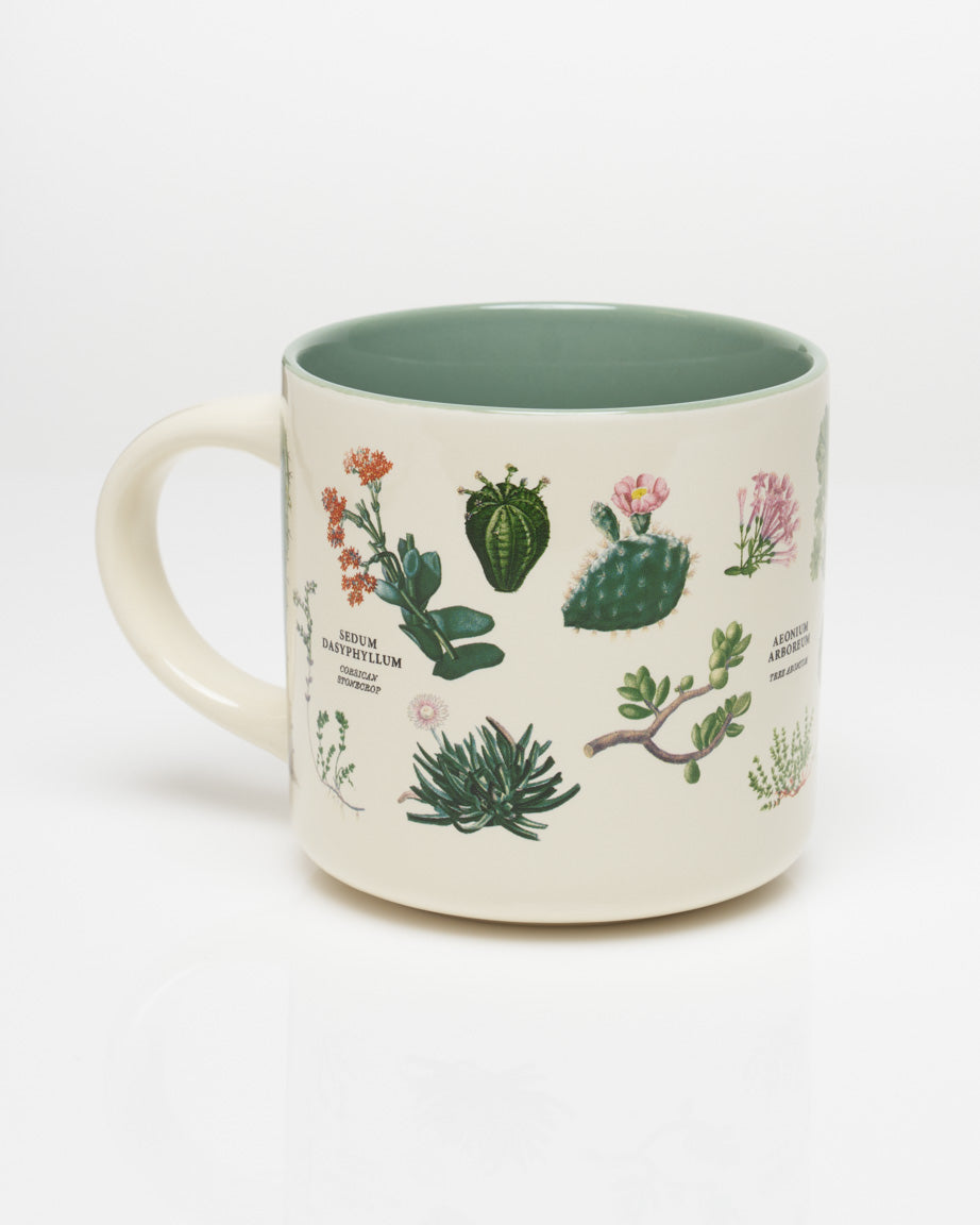 coffee and succulents Succulents Mug - Cactus Mug