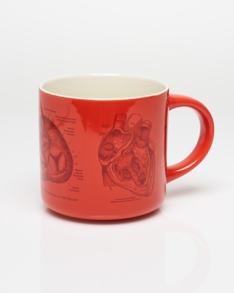 Heart Anatomy 15 oz Ceramic Mug