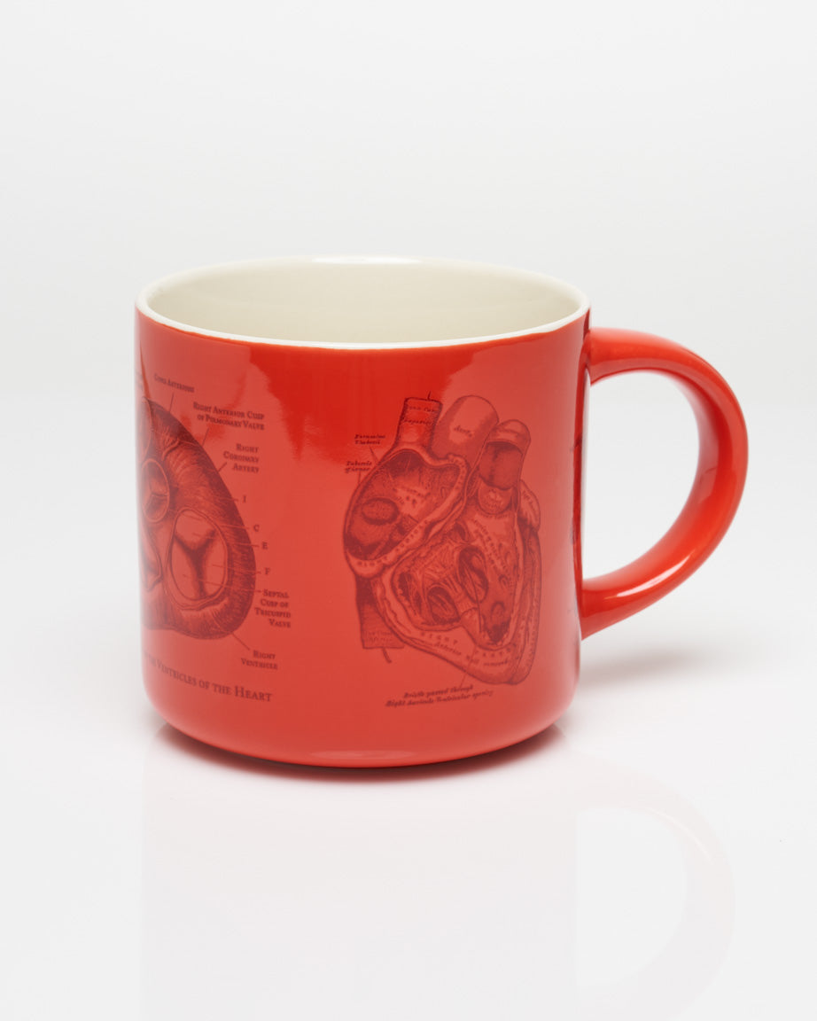 Heart Anatomy Mug - Nurse Mug | Cognitive Surplus