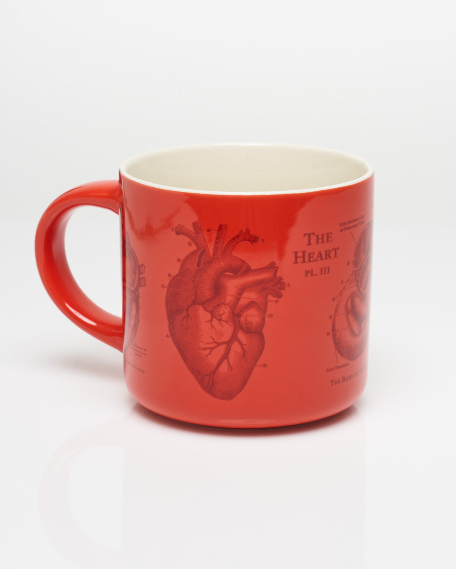 Heart Anatomy Mug - Nurse Mug