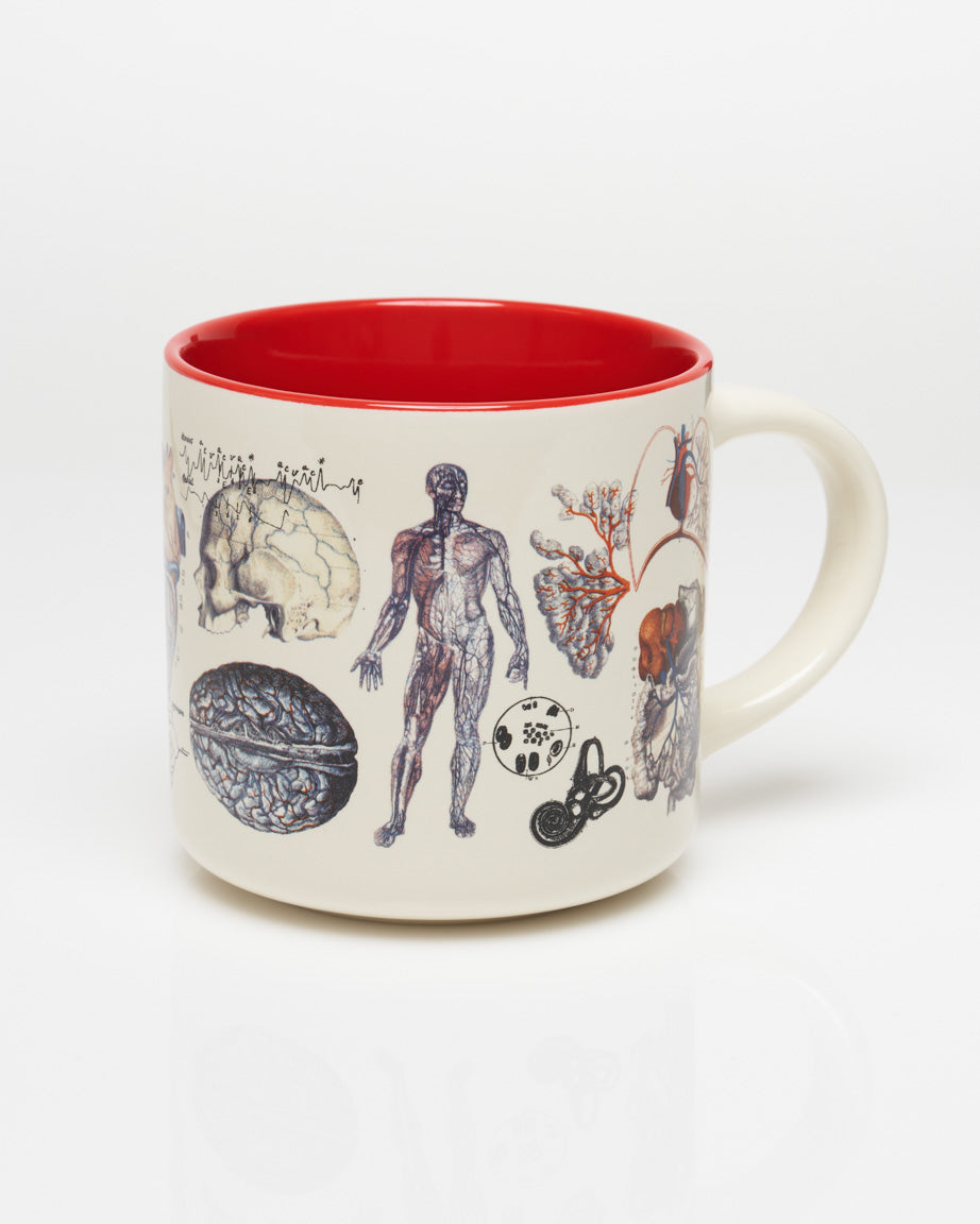 Vascular Anatomy Mug - Nurse Mug | Cognitive Surplus