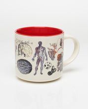 Vascular Anatomy 15 oz Ceramic Mug
