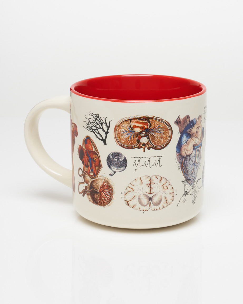 Vascular Anatomy Mug - Nurse Mug | Cognitive Surplus