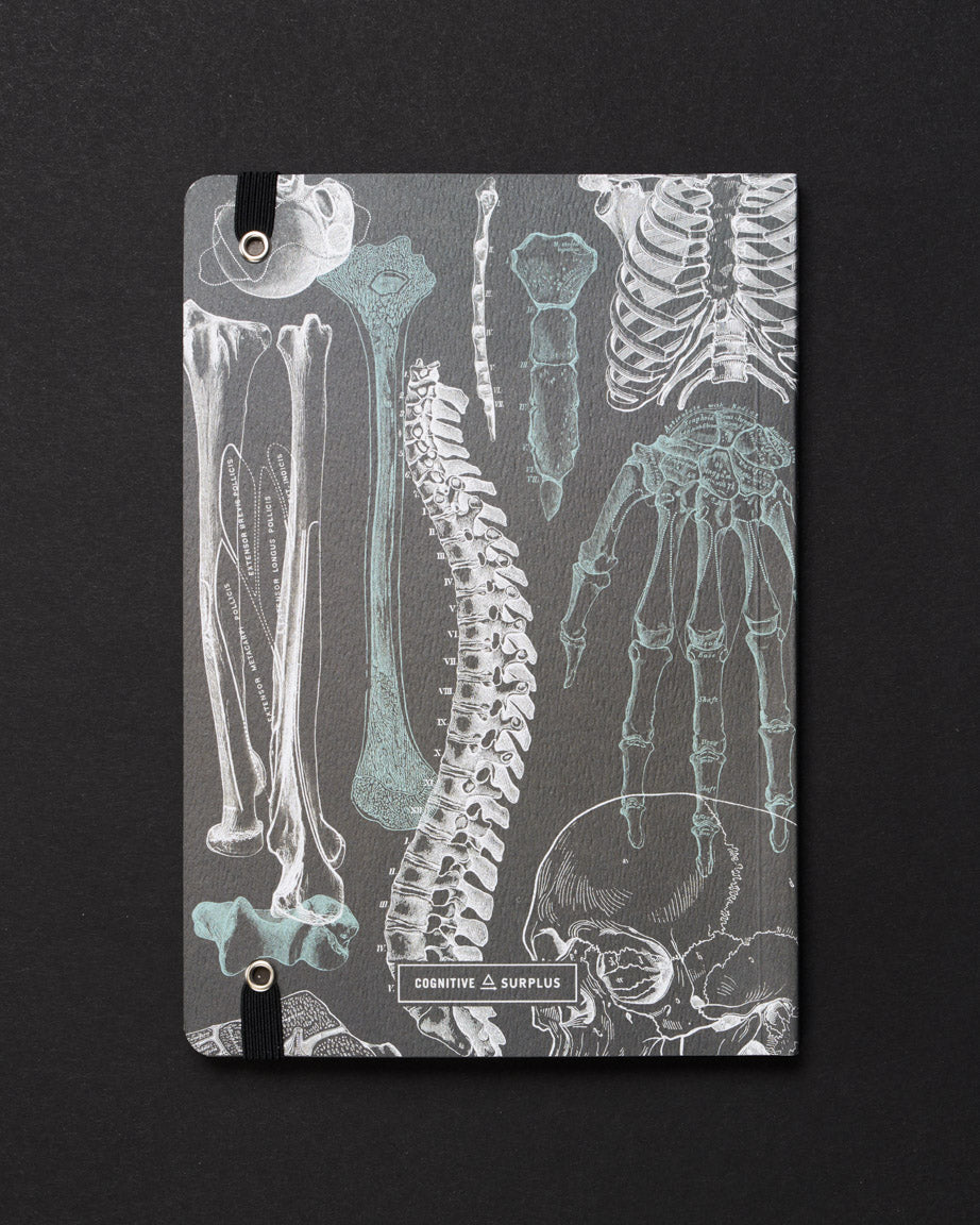 Skeleton Dark Analysis A5 Softcover Notebook