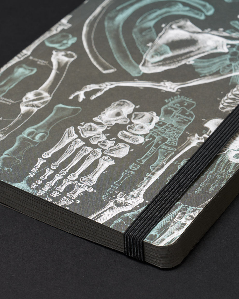 Skeleton Dark Analysis A5 Softcover Notebook