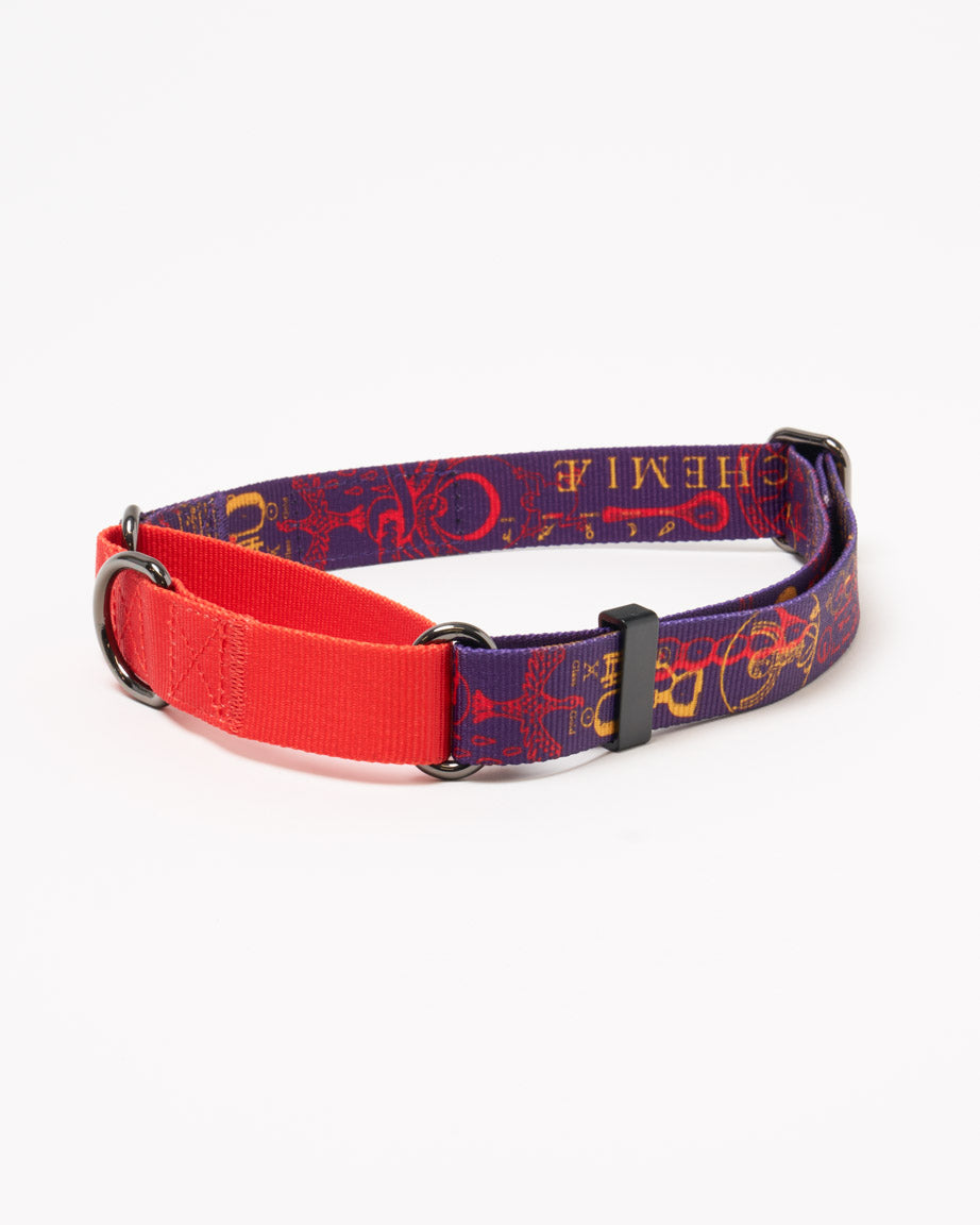 Alchemy Eco Martingale Collar