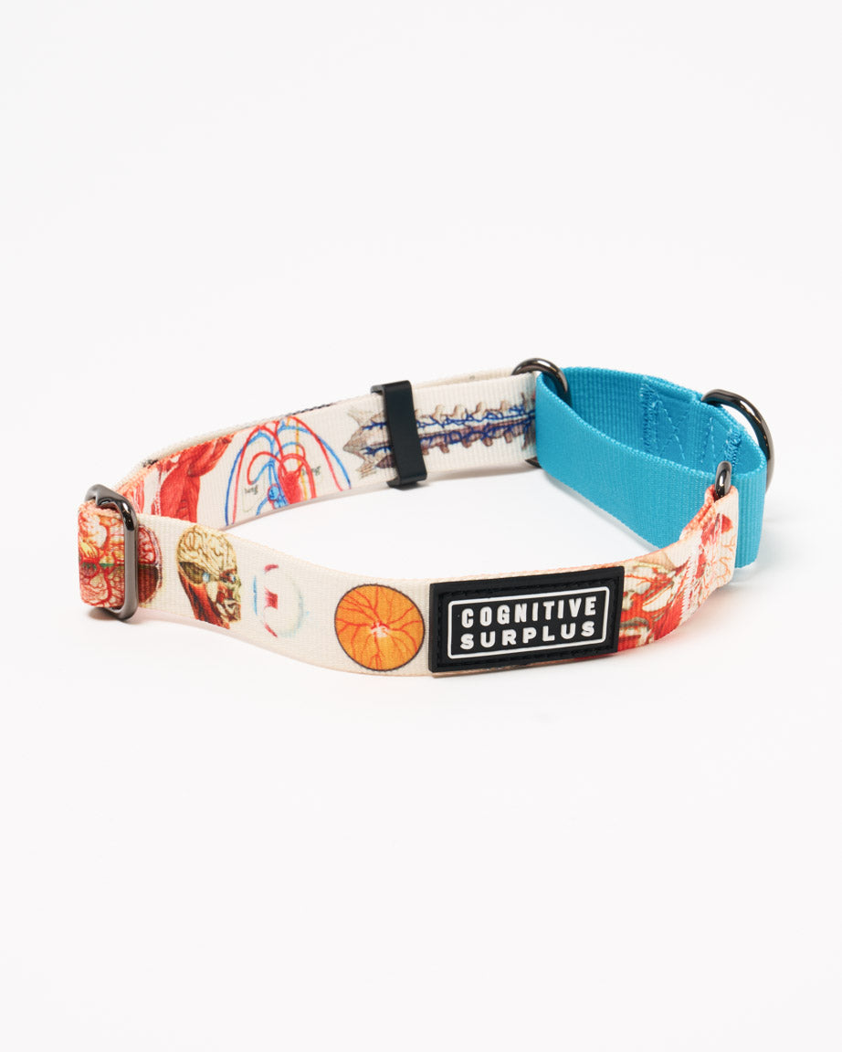 Anatomy Eco Martingale Collar