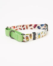 Insects Eco Martingale Collar