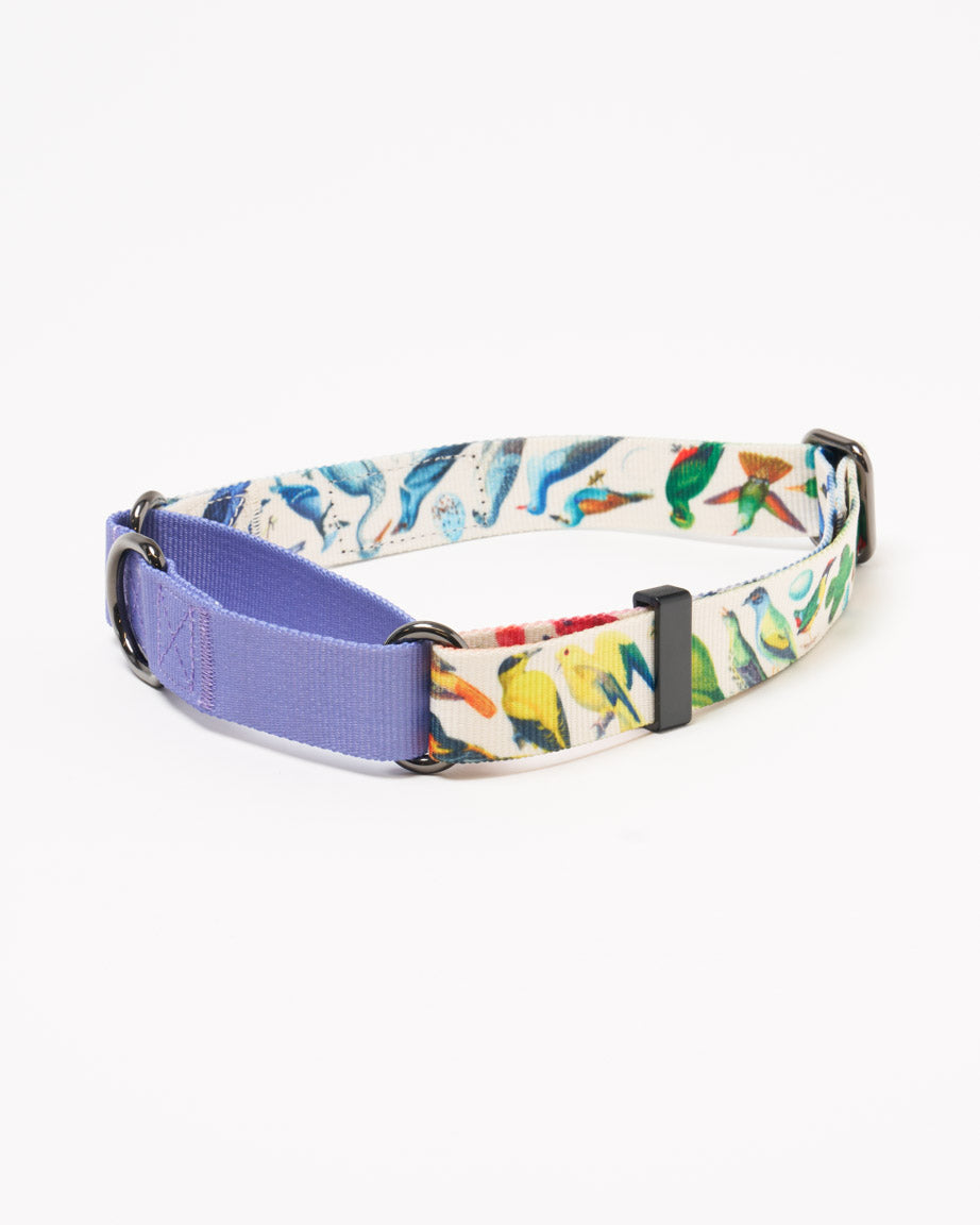 Birds Eco Martingale Collar
