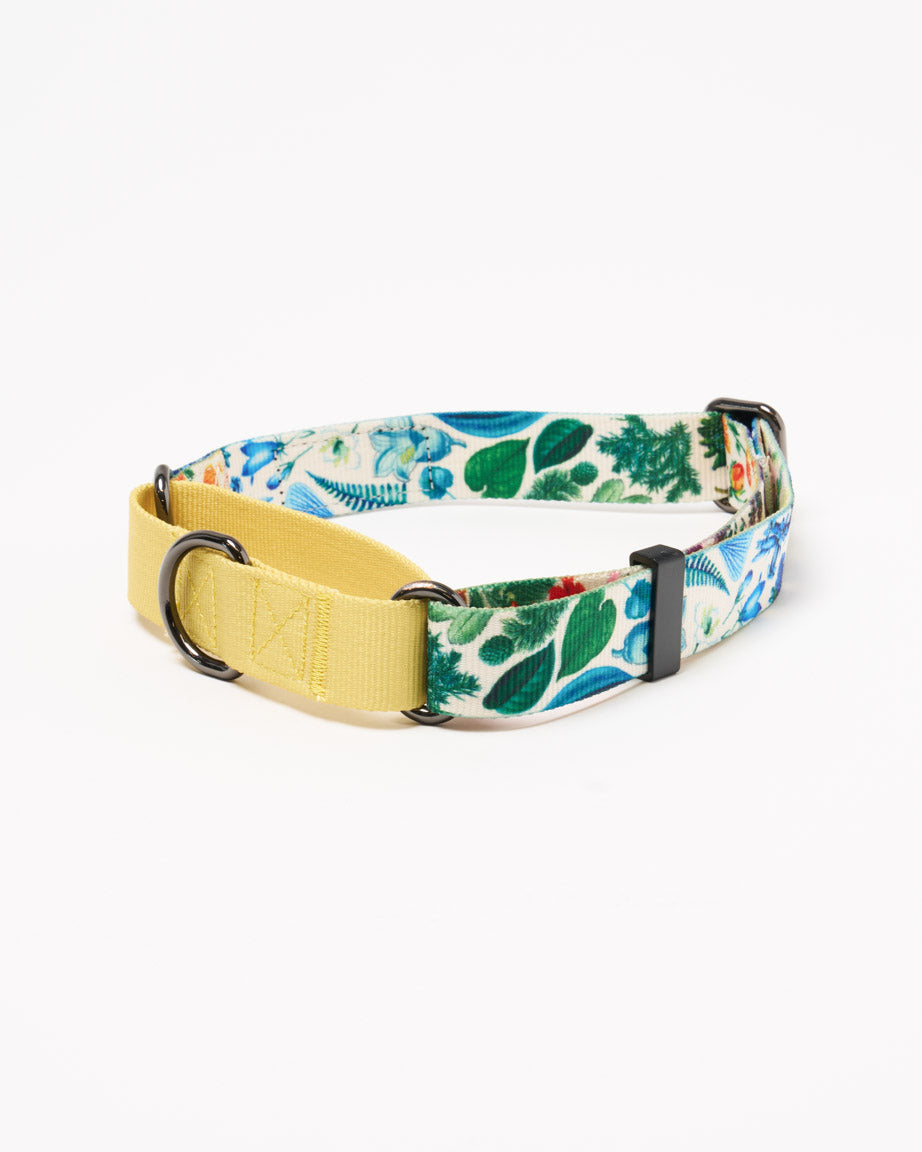 Botany Eco Martingale Collar