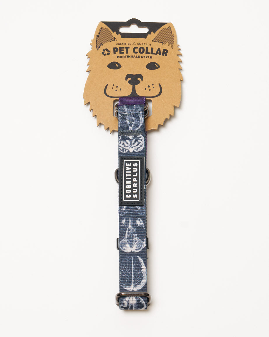 Brain Eco Martingale Collar