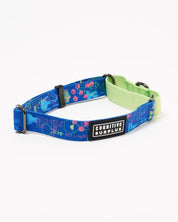 Chemistry Eco Martingale Collar
