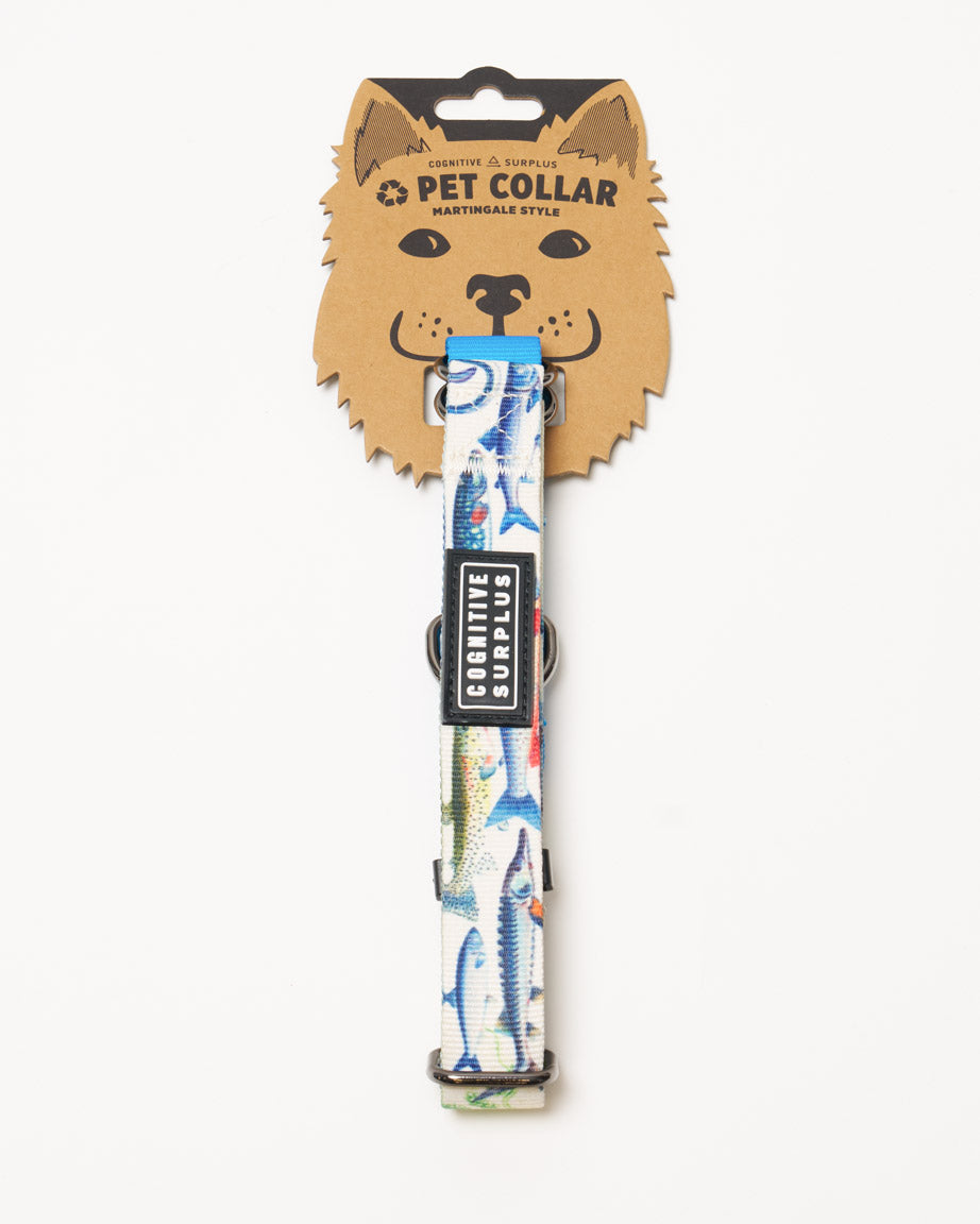 Freshwater Fish Eco Martingale Collar