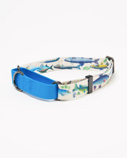 Freshwater Fish Eco Martingale Collar