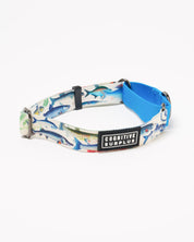 Freshwater Fish Eco Martingale Collar