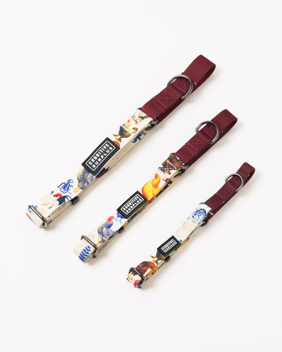 Backyard Chickens Eco Martingale Collar