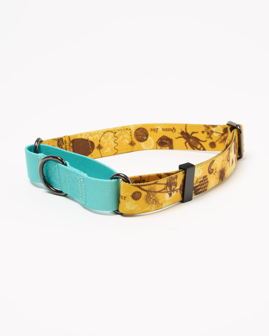 Honey Bees Eco Martingale Collar