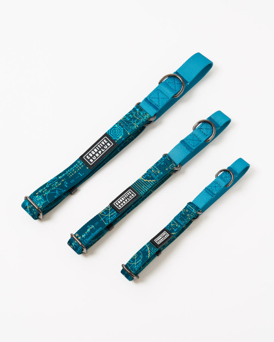 Equations That Changed the World Eco Martingale Collar