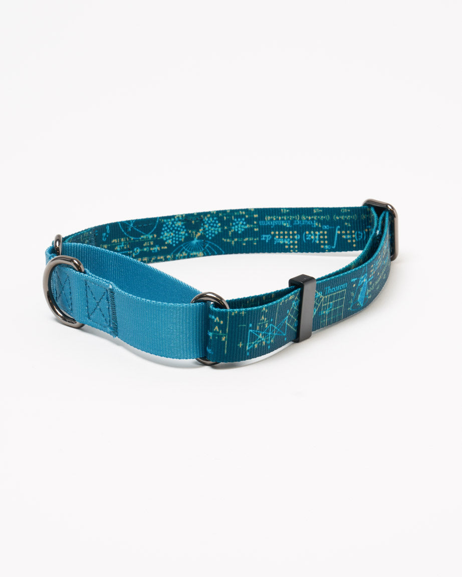 Equations That Changed the World Eco Martingale Collar